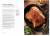 Bread Street Kitchen. Рецепты восхитительно вкусных домашних завтраков, обедов и ужинов с доставкой по Минску от 70 рублей бесплатно!